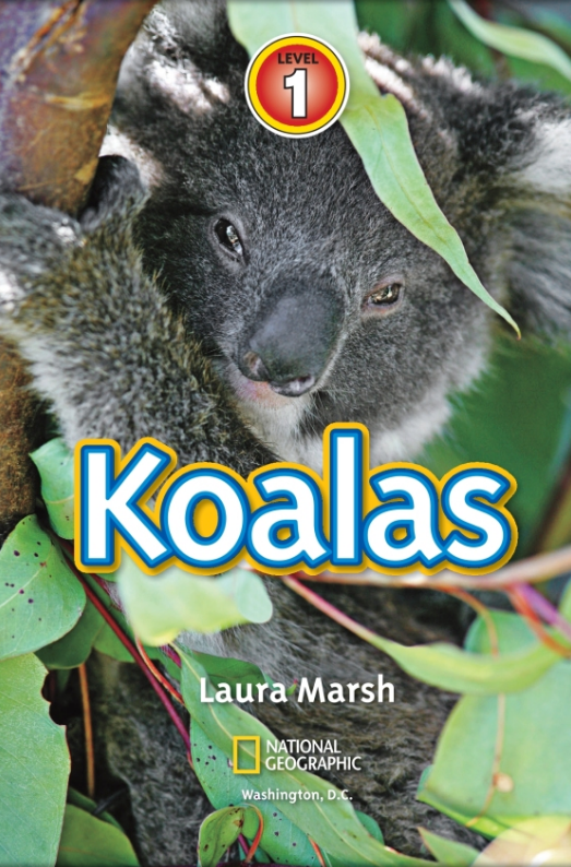 National Geographic Kids Readers: Koalas (Level 1) Animal Book