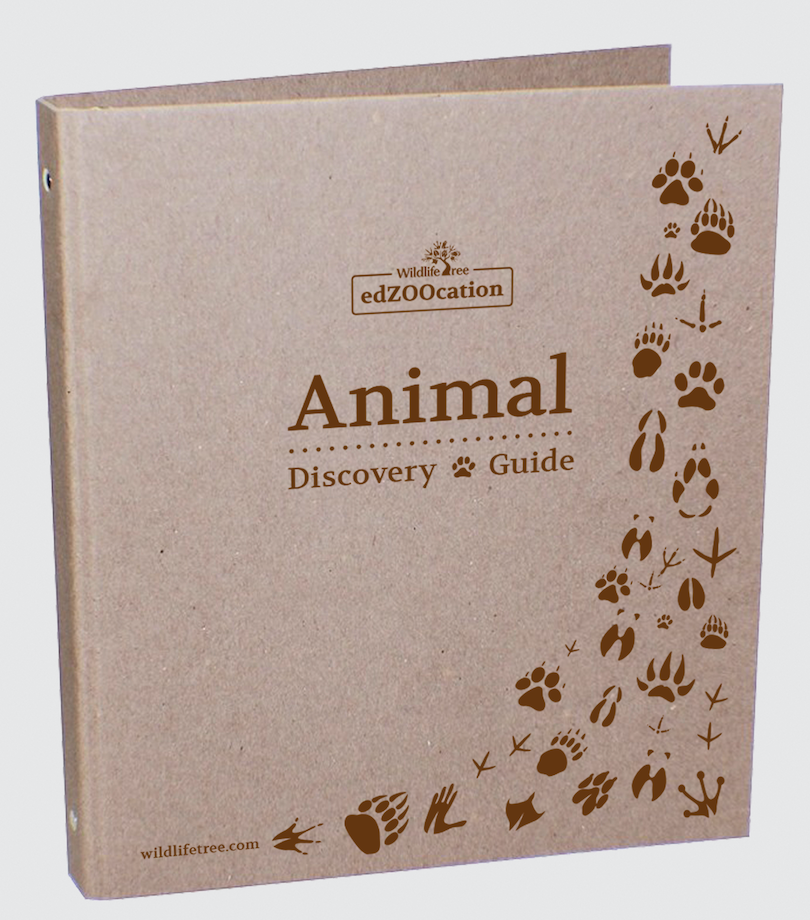 Animal Discovery Binder