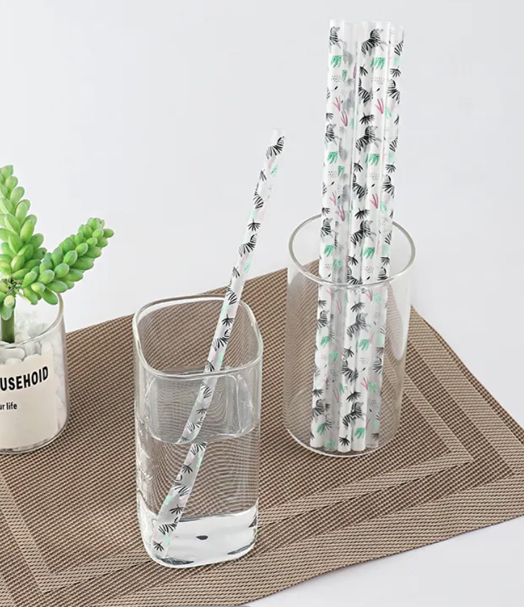 Zebra Reusable Straw - Single