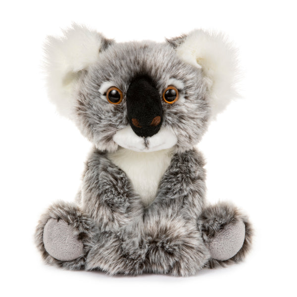 10 Inch Stuffed Koala Plush Floppy Animal Kingdom Collection