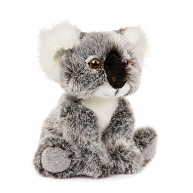 Peluche Koala Plush and Company