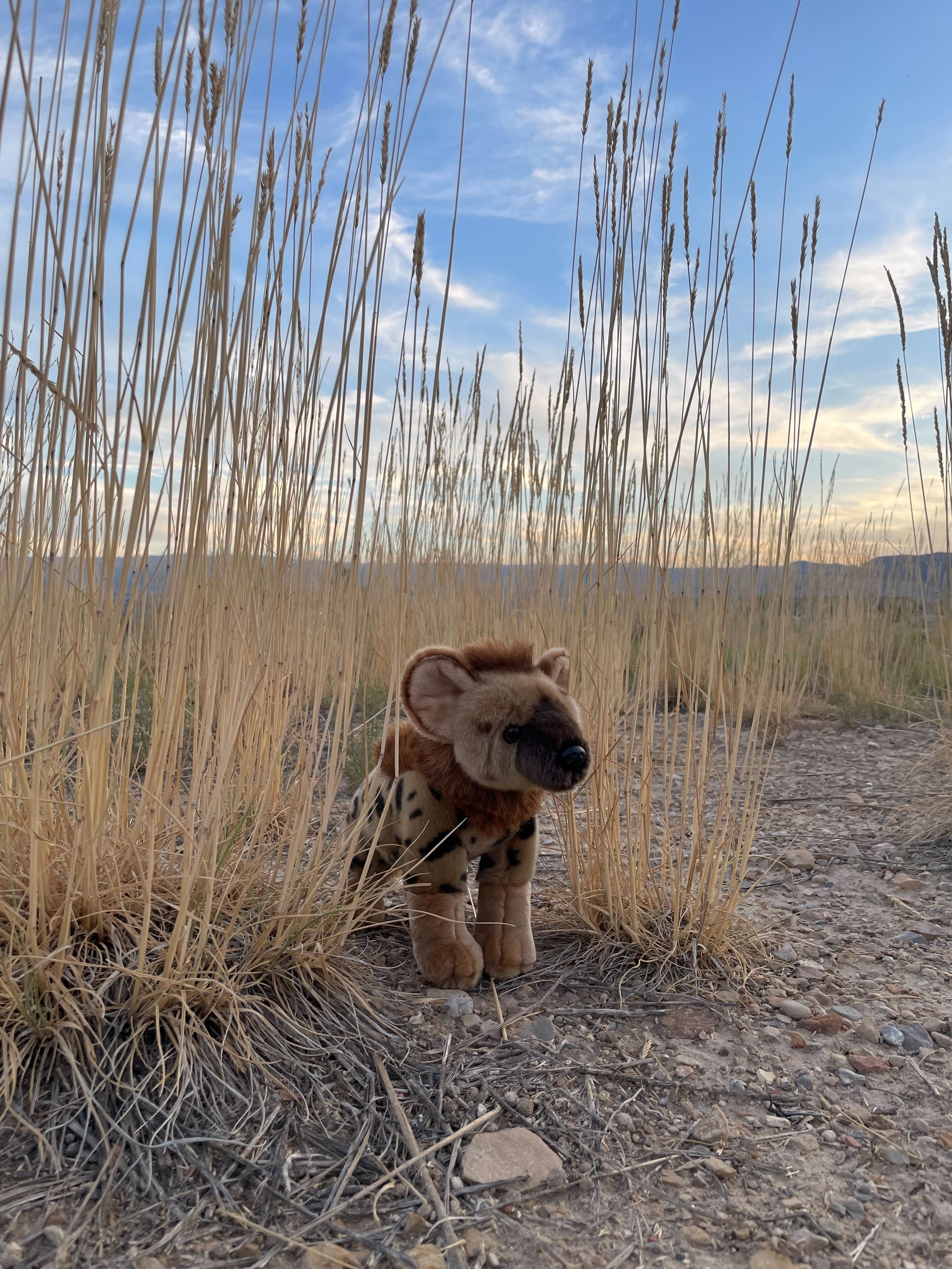 11" Standing Hyena Stuffed Animal